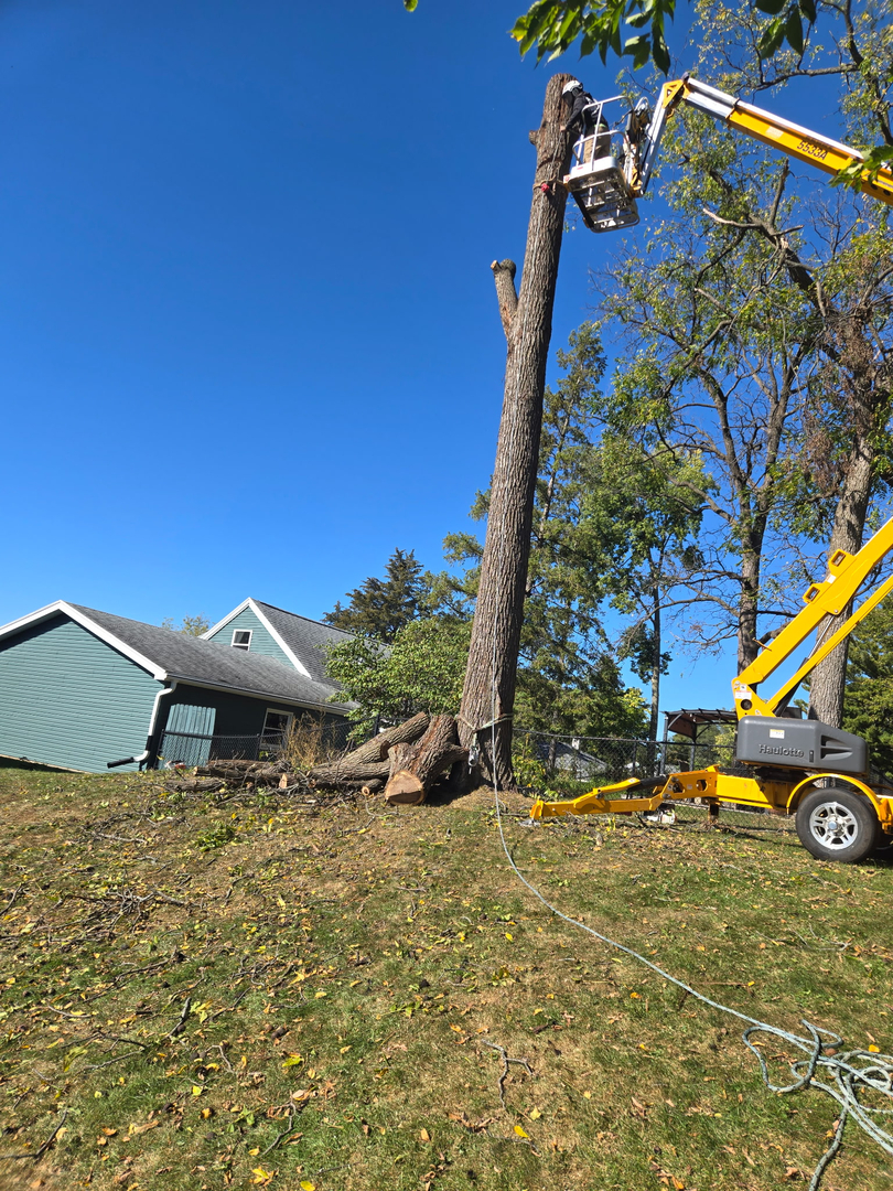 Revved Up Tree Service Image