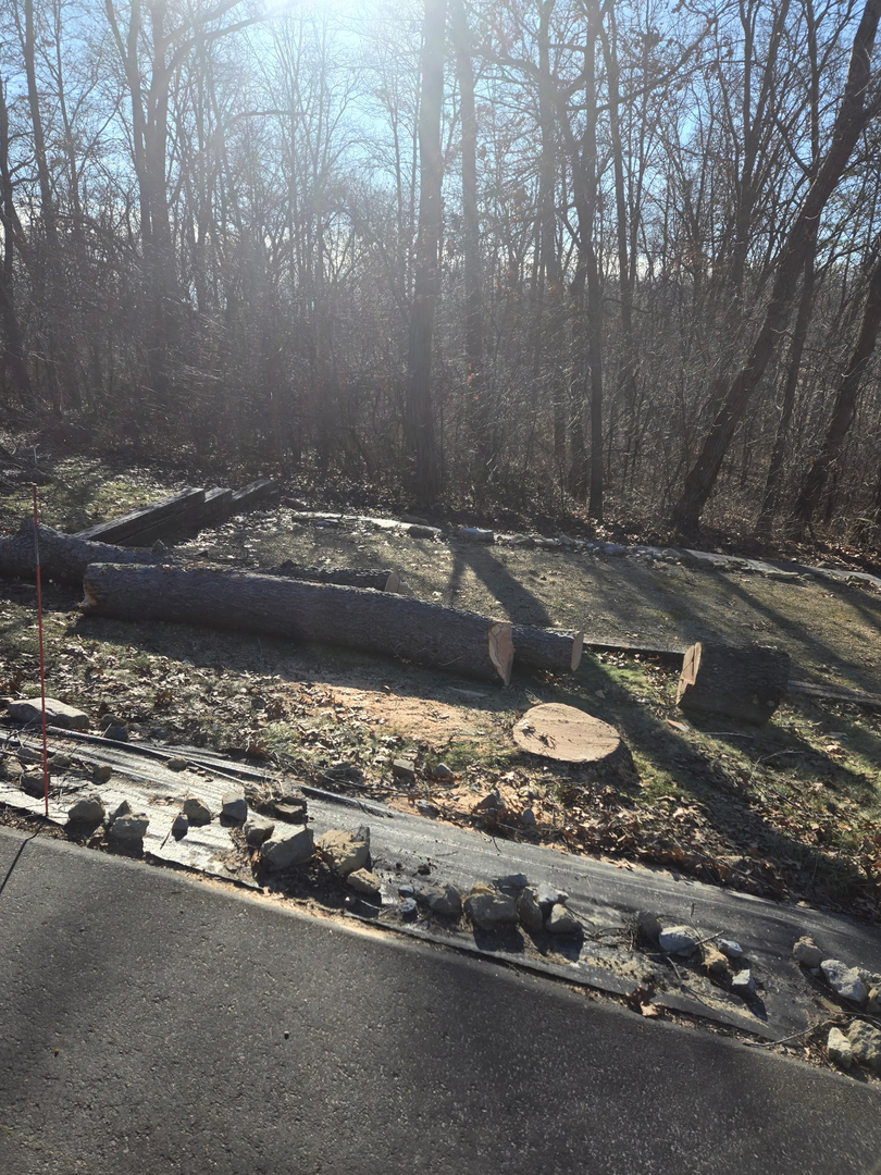 Revved Up Tree Service - Edgerton, WI
