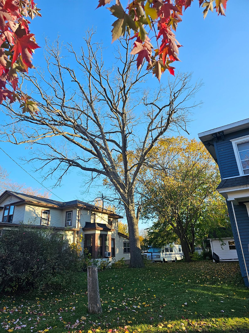 Revved Up Tree Service Image