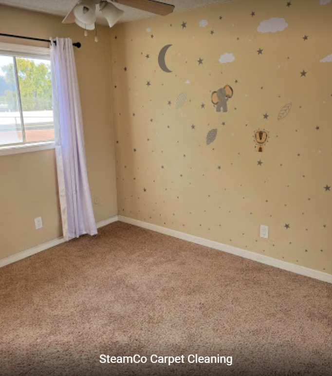 SteamCo Carpet Cleaning Image