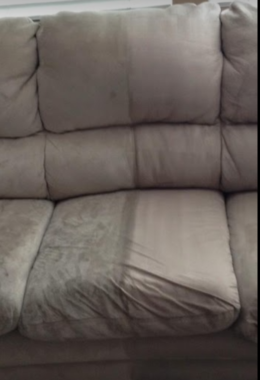 SteamCo Carpet Cleaning Image