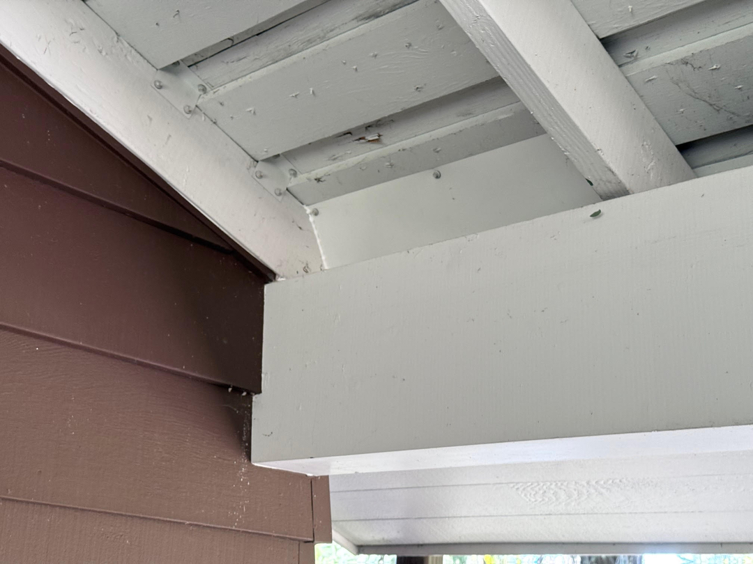 EcoCare Pest Control - Ridgefield, WA