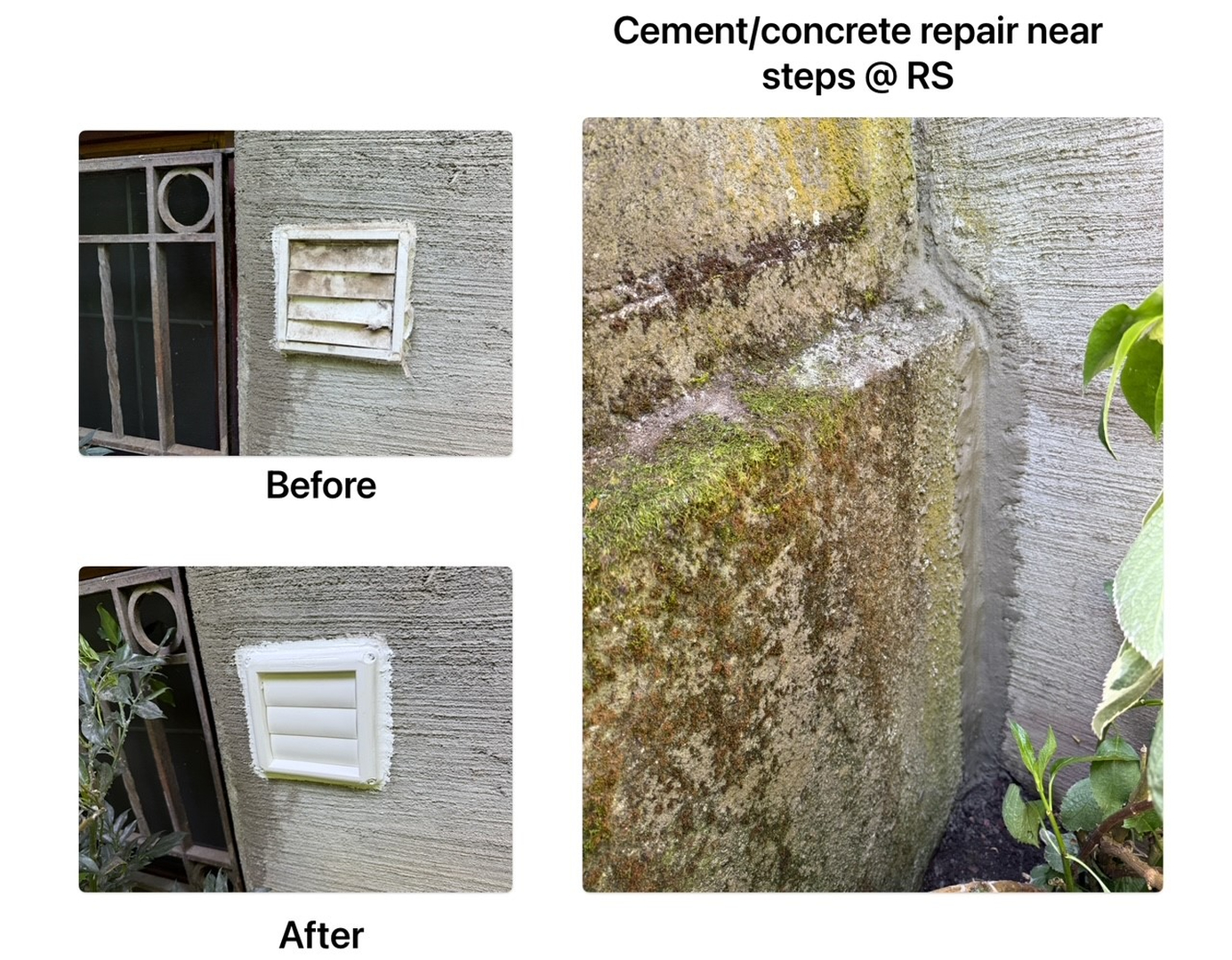 EcoCare Pest Control - Ridgefield, WA