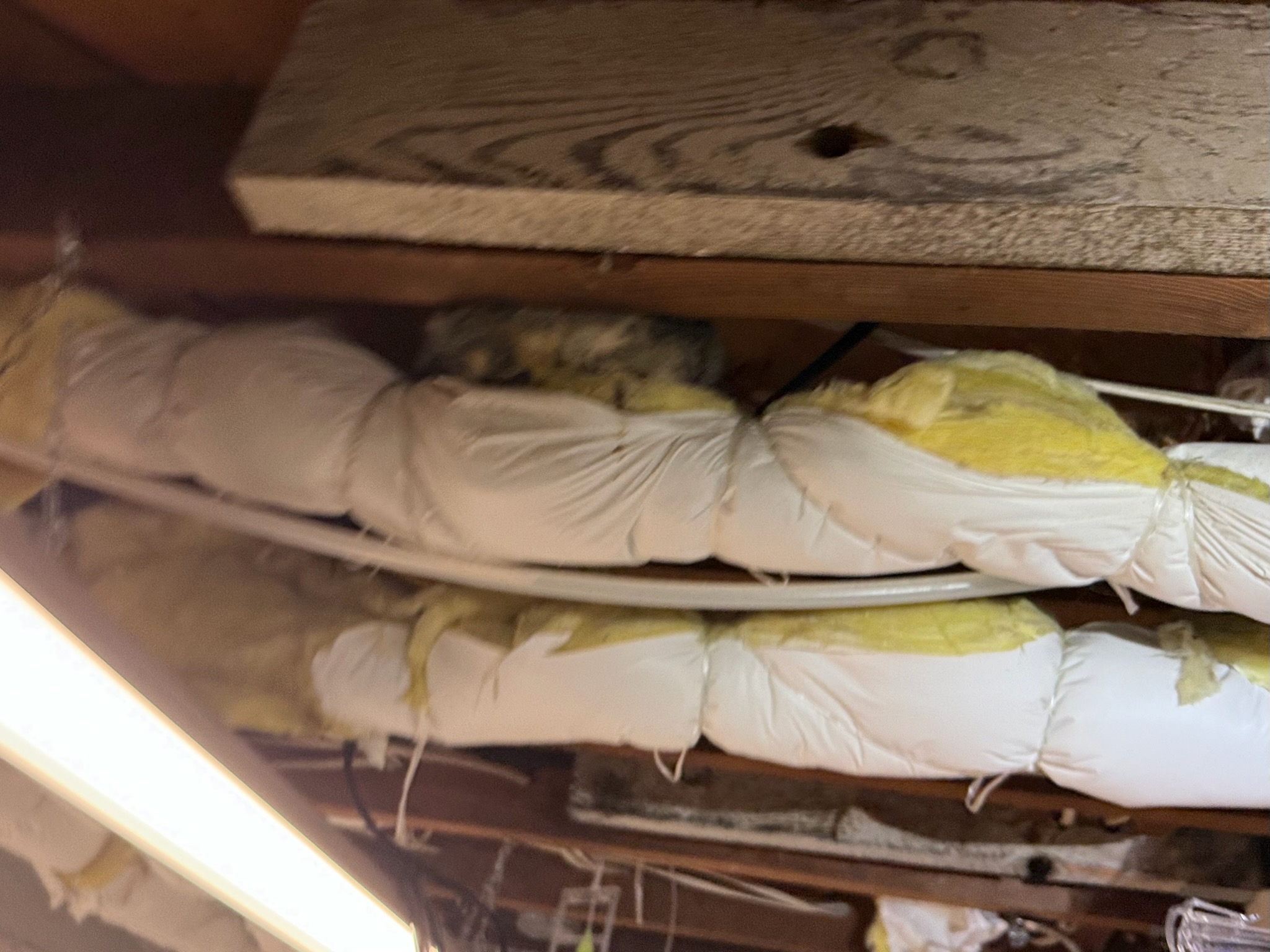 EcoCare Pest Control - Ridgefield, WA