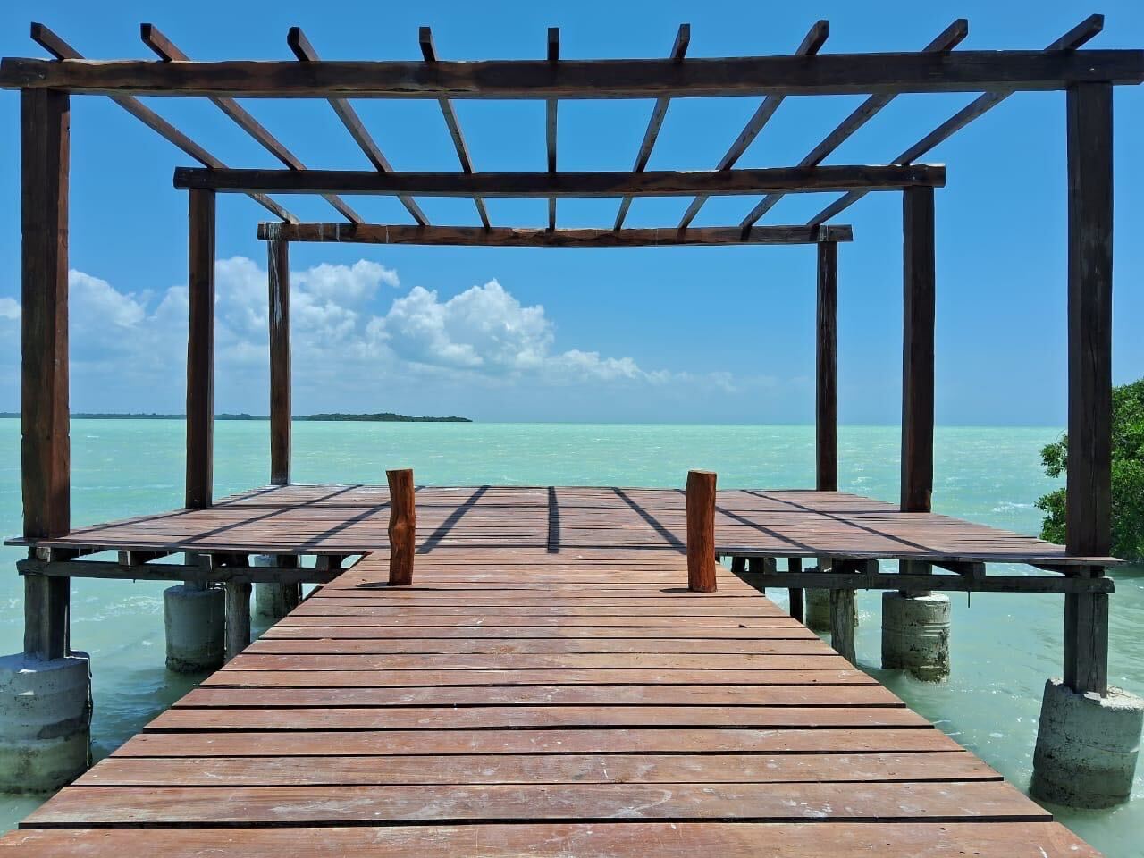 Beary General Services Logo