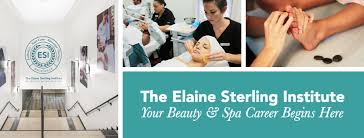 Elaine Sterling Institute Image