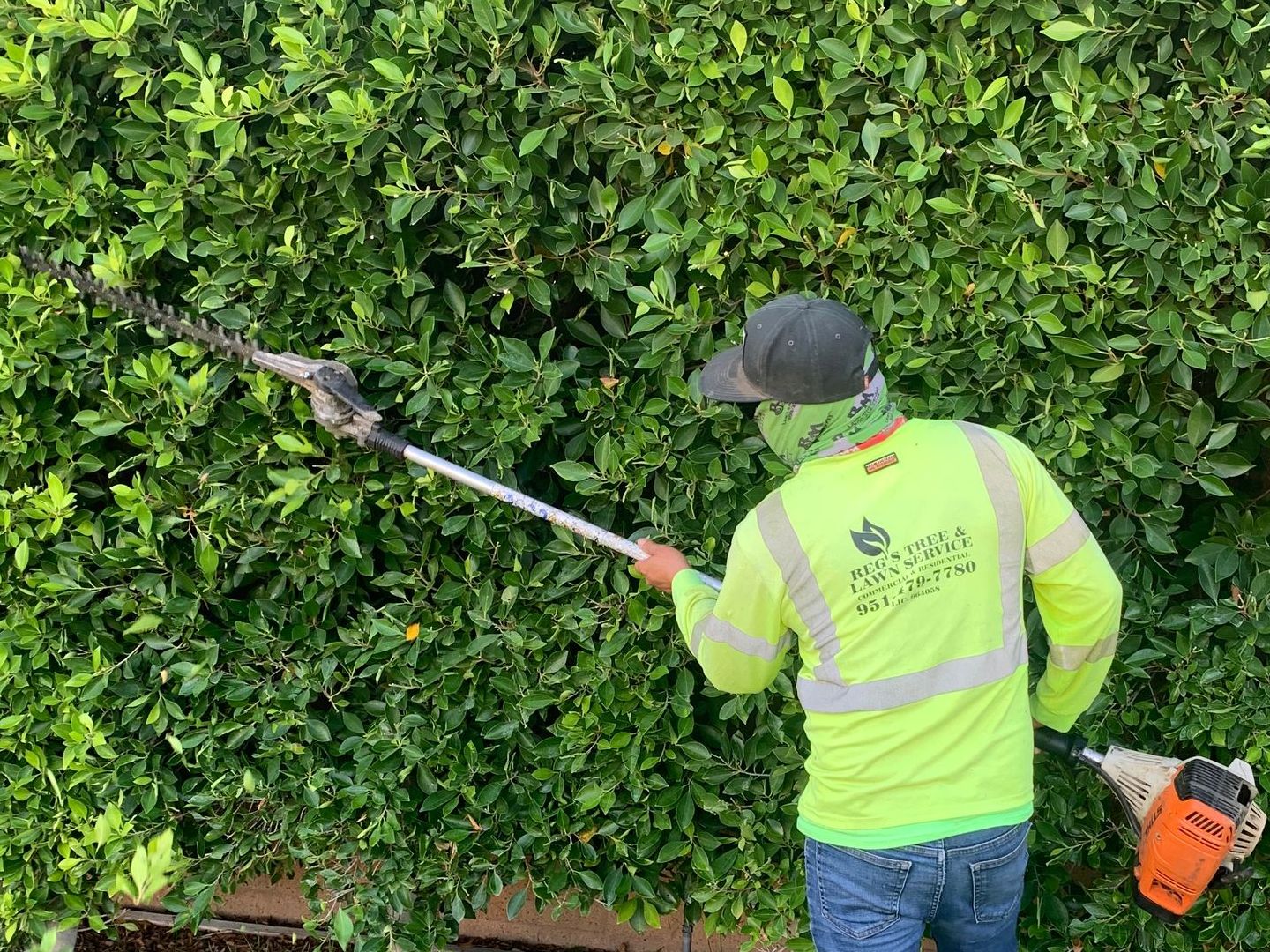 Reg's Tree Services - Corona, CA