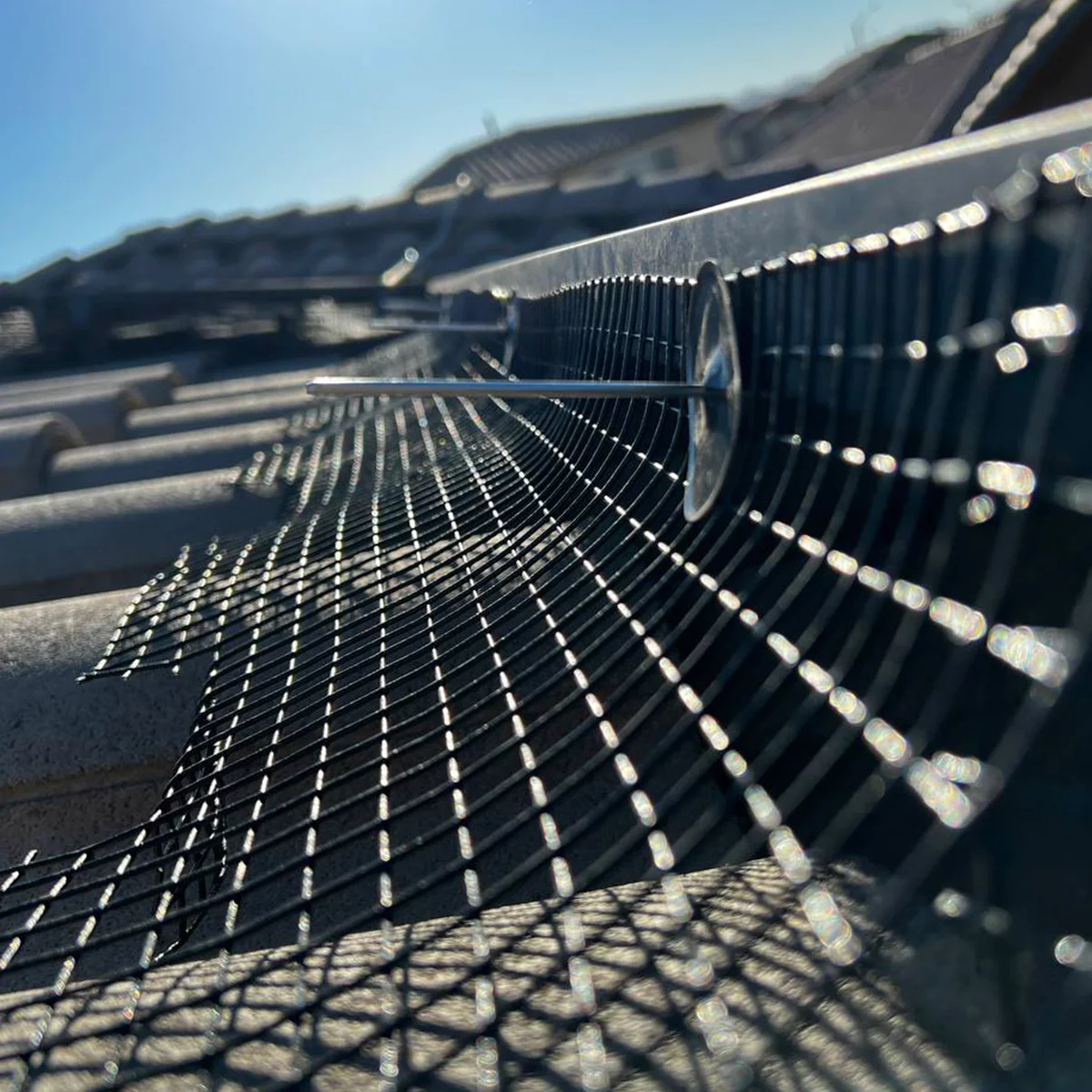 Harris Solar Panel Cleaning Image