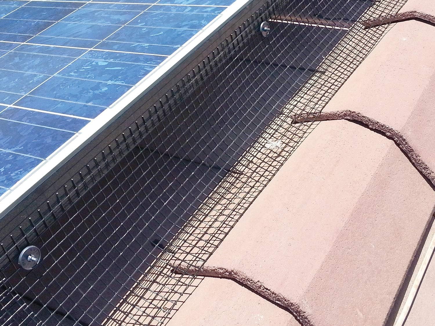 Harris Solar Panel Cleaning Image