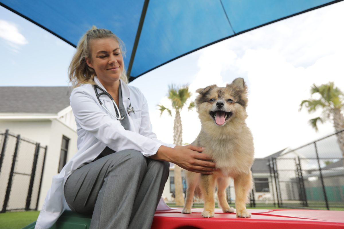 NewDay Veterinary Care Image