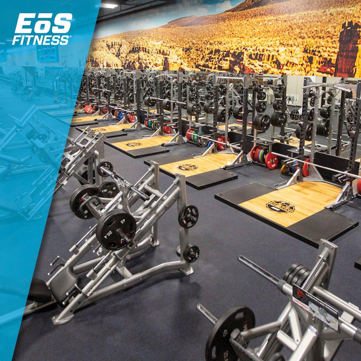 EoS Fitness Image