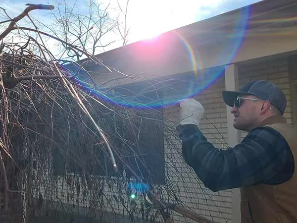 Primetime Pruning Image