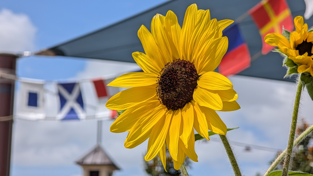 Retha Rish Insurance Agency - Virginia Beach, VA