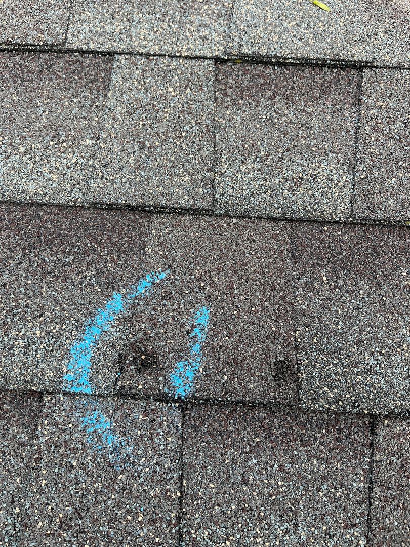 Precision Exteriors Restoration Image