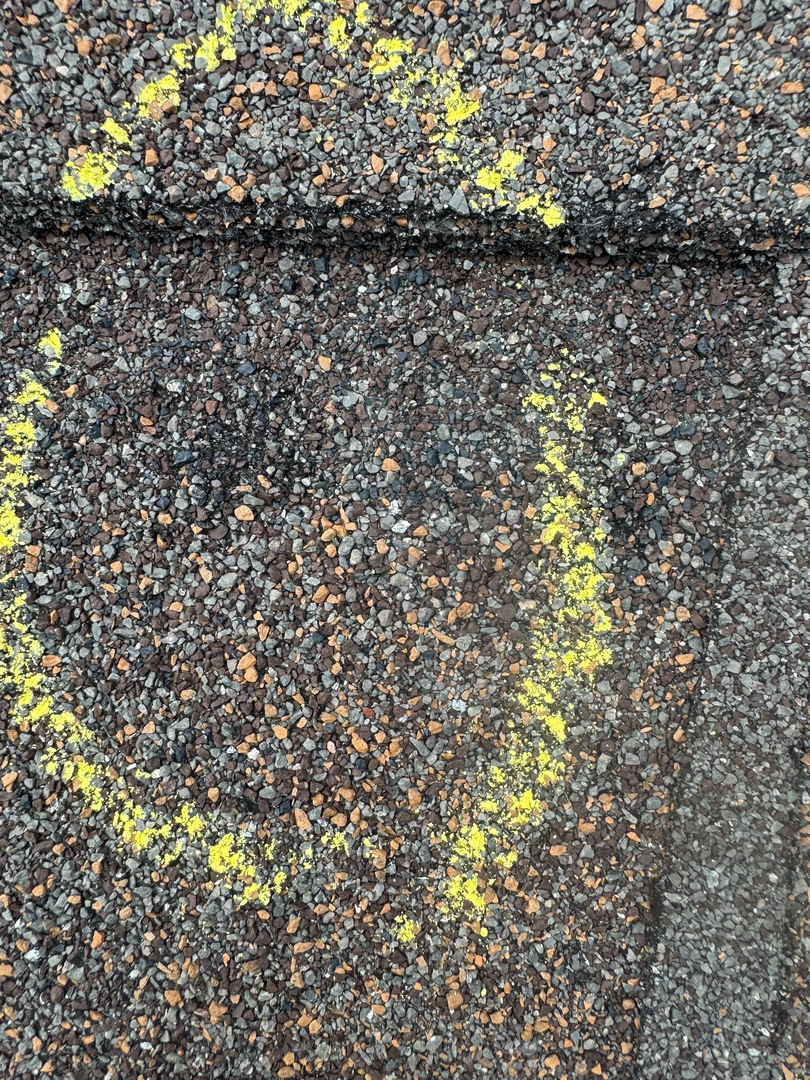 Precision Exteriors Restoration Image