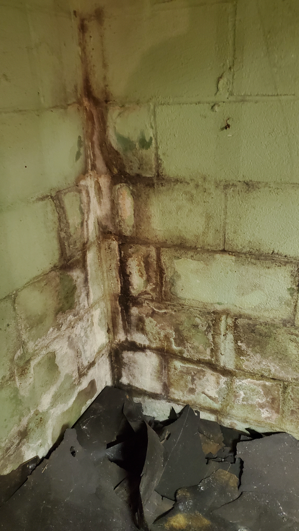 De Luca Construction and Landscaping Image