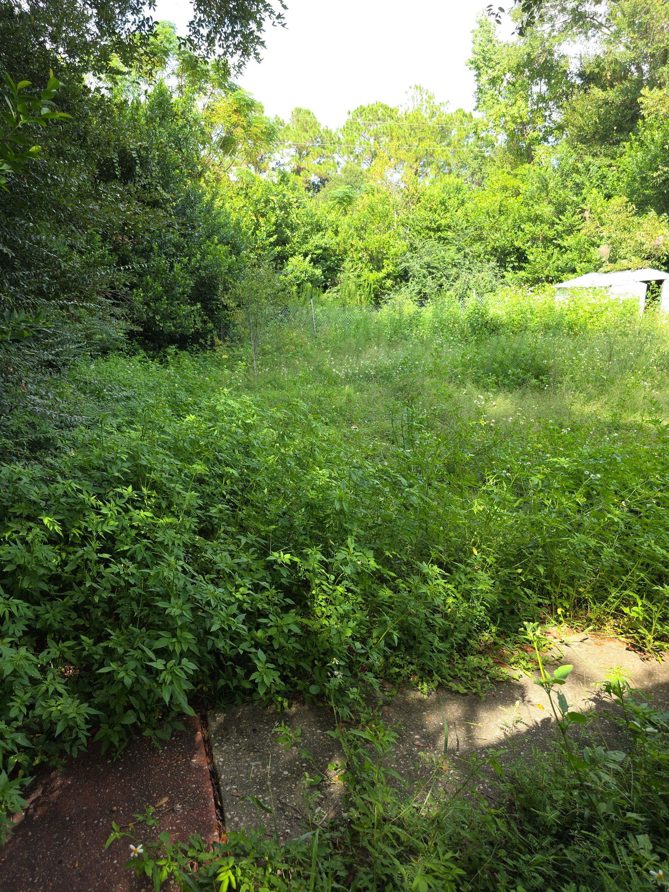 Salted Sands Landscaping Image