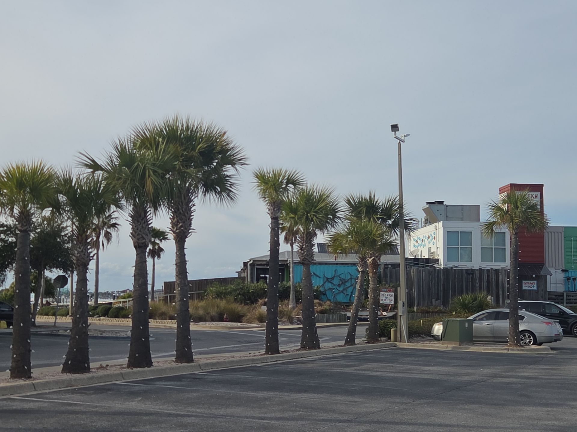 Salted Sands Landscaping Image