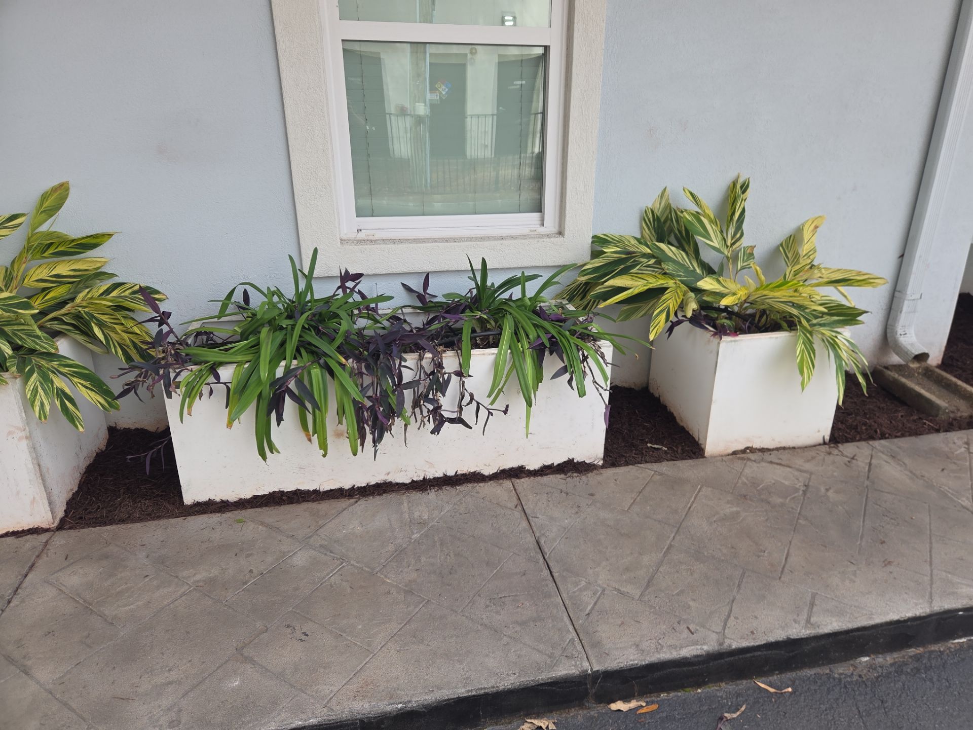 Salted Sands Landscaping Image