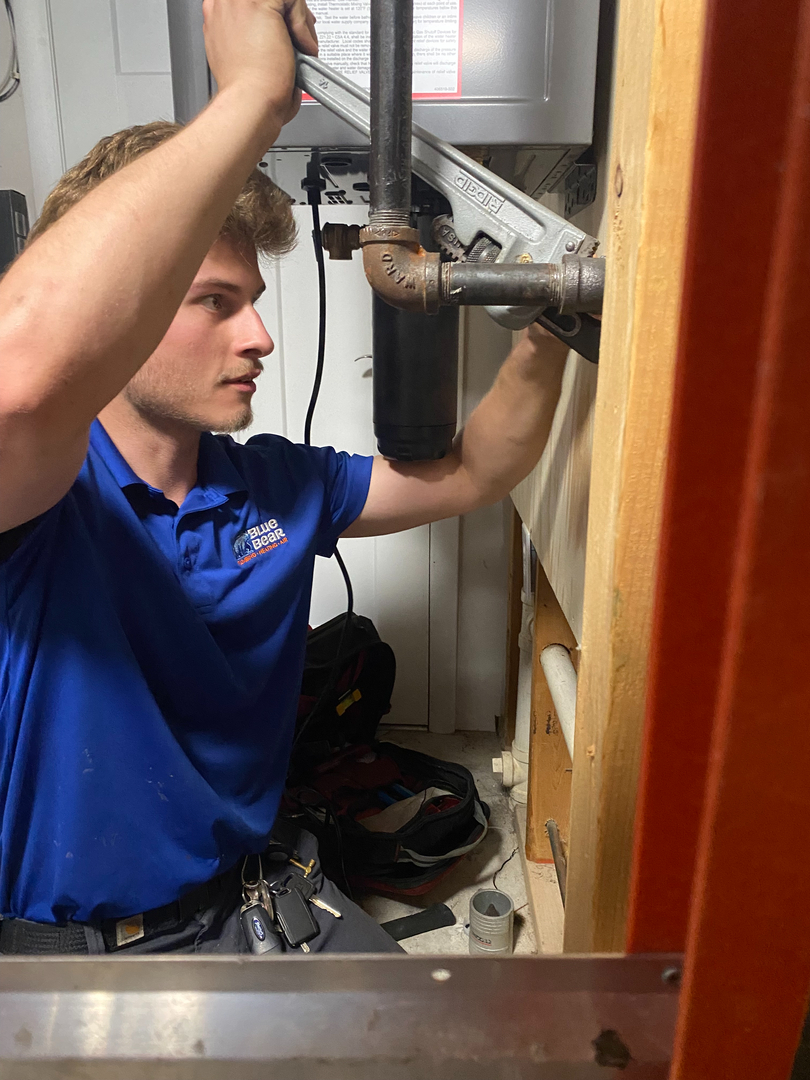 Blue Bear Plumbing, Heating & Air Image