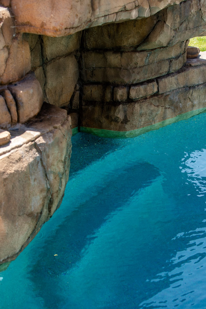 Taylor Made Pools Inc. Image