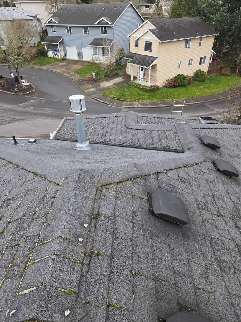French Roofing Image