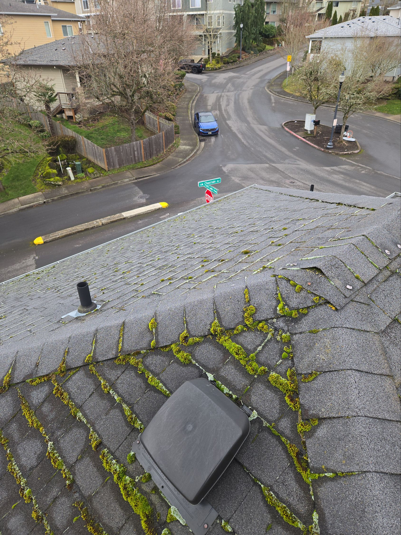 French Roofing Image