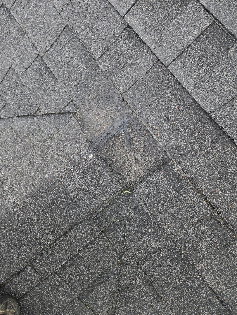 French Roofing Image