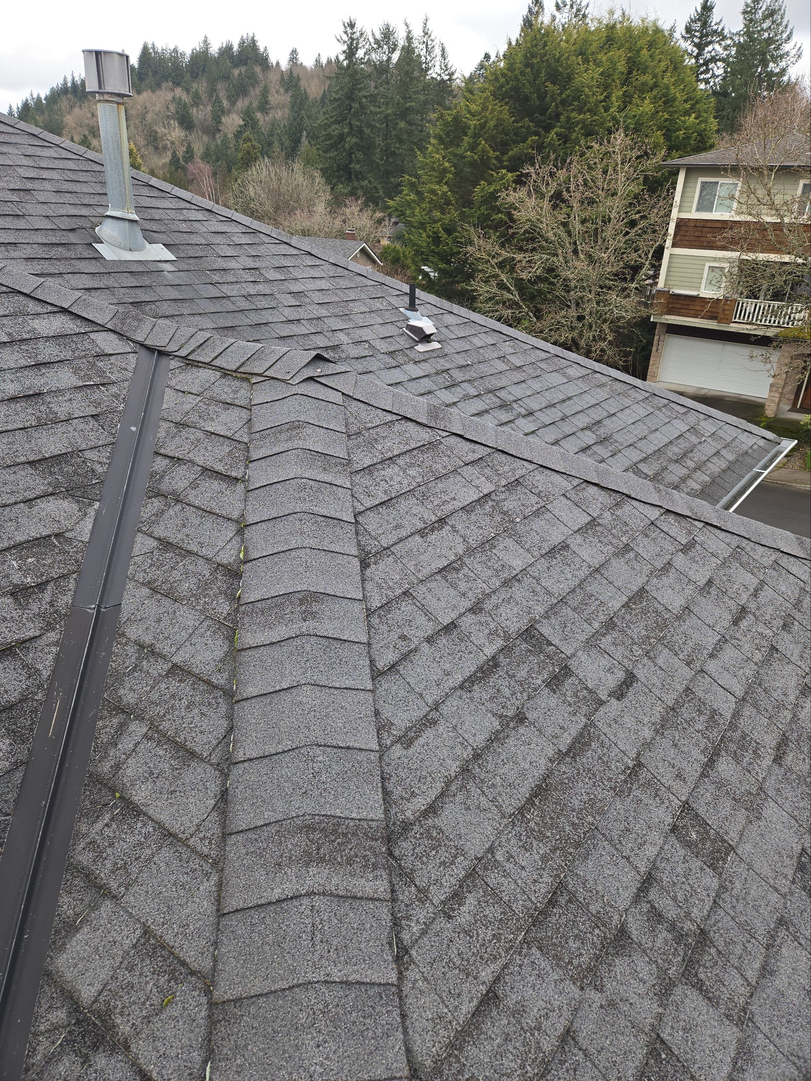 French Roofing Image