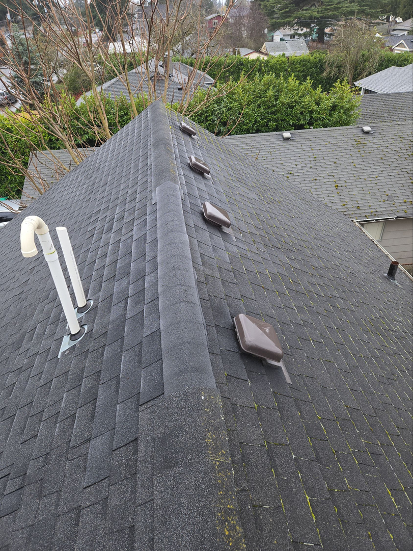 French Roofing Image