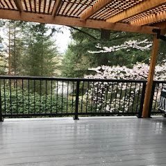 Three Rivers Custom Decks Image