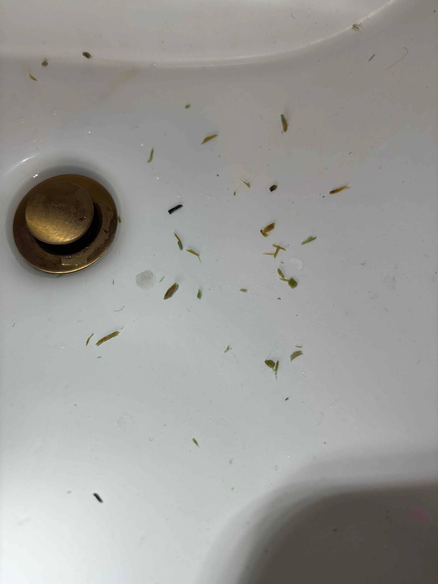 Baethke Plumbing Image