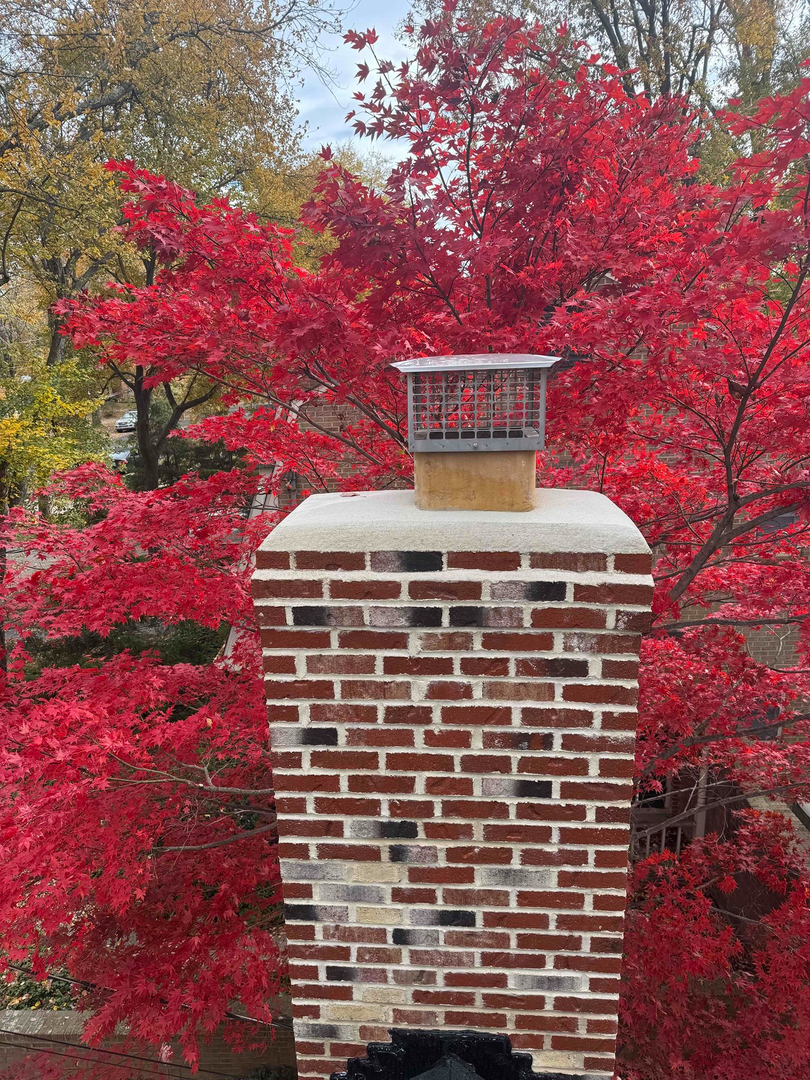 Sweep Your Chimney Image