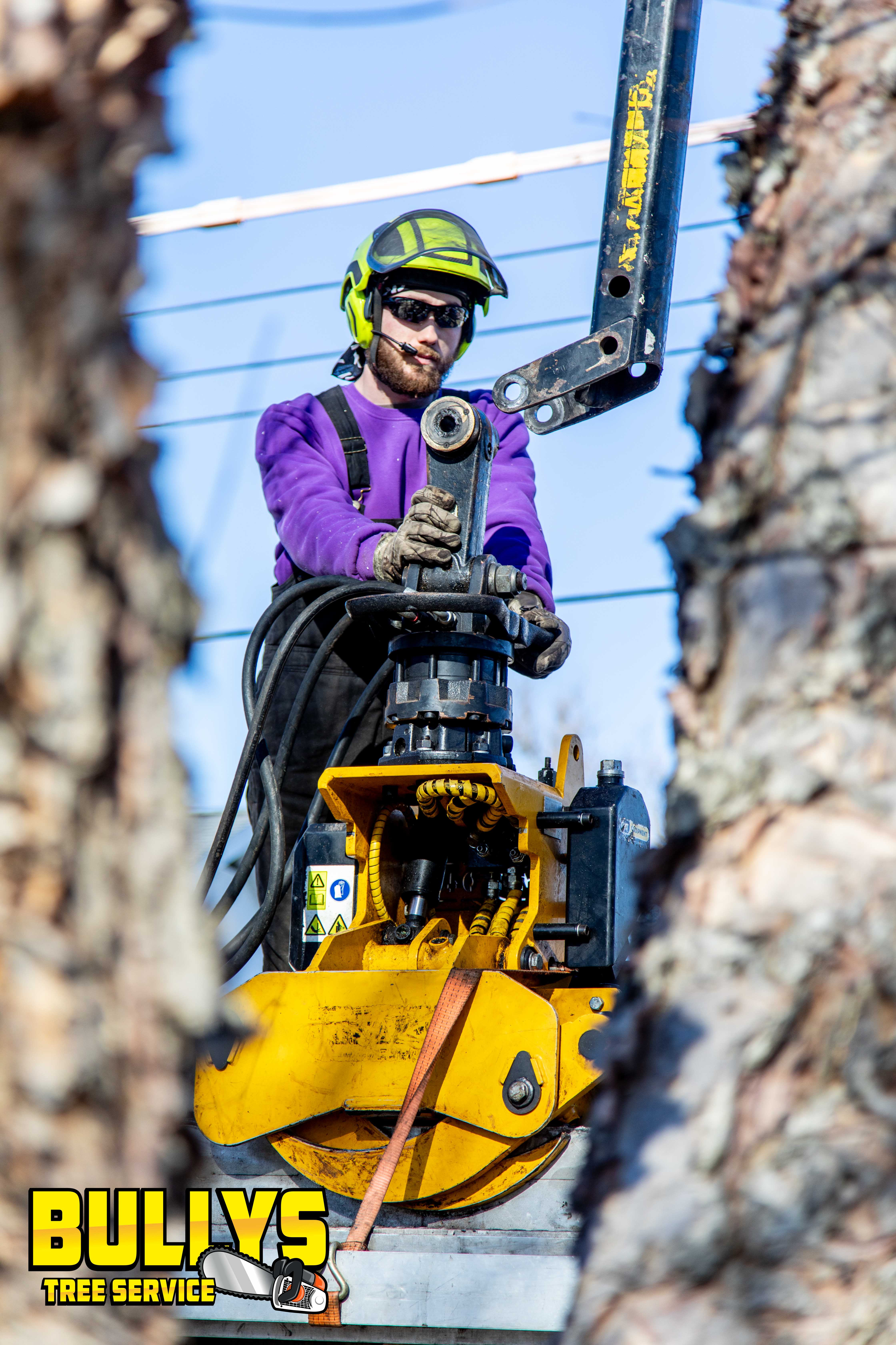 Bullys Tree Service - East Peoria, IL