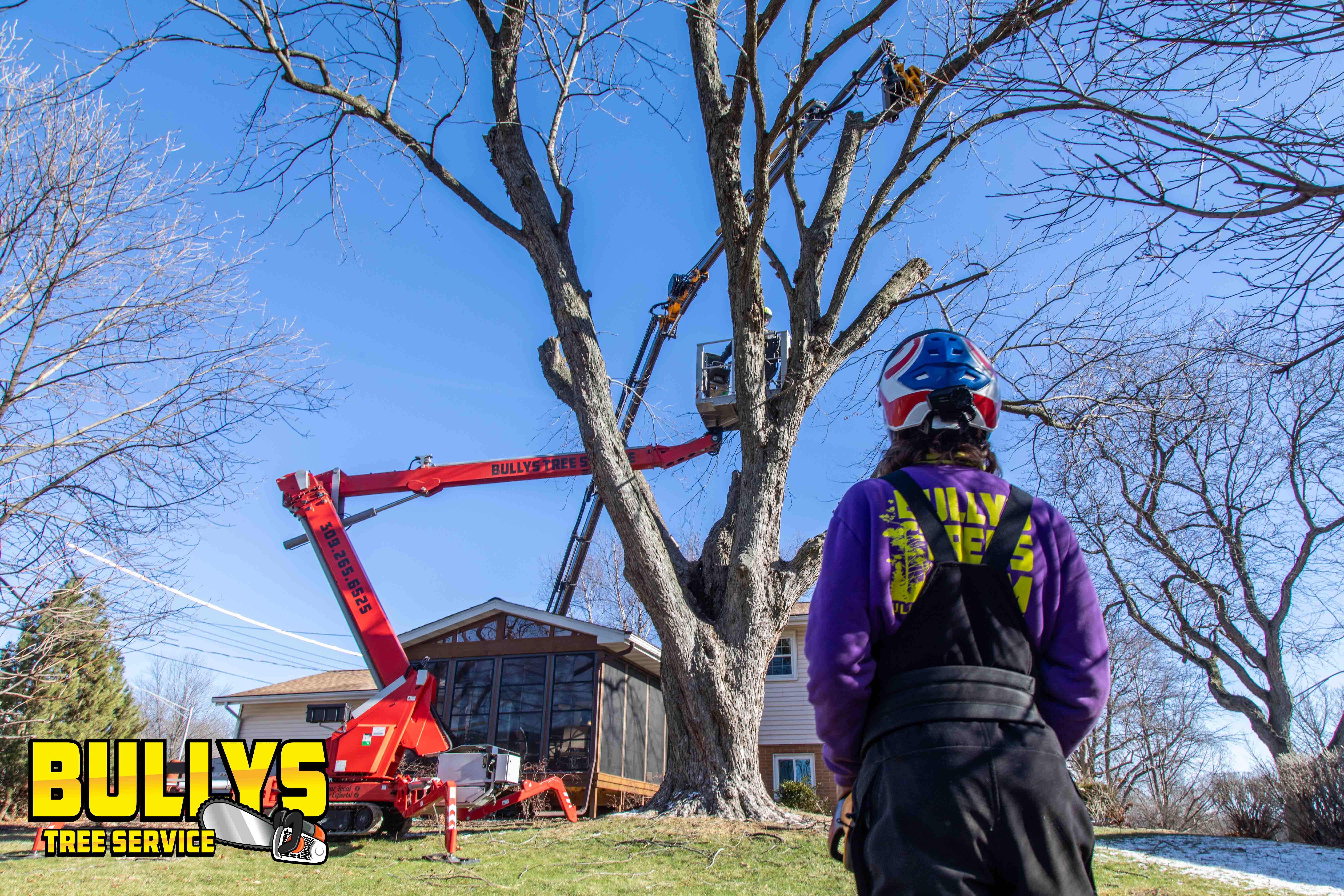 Bullys Tree Service - East Peoria, IL
