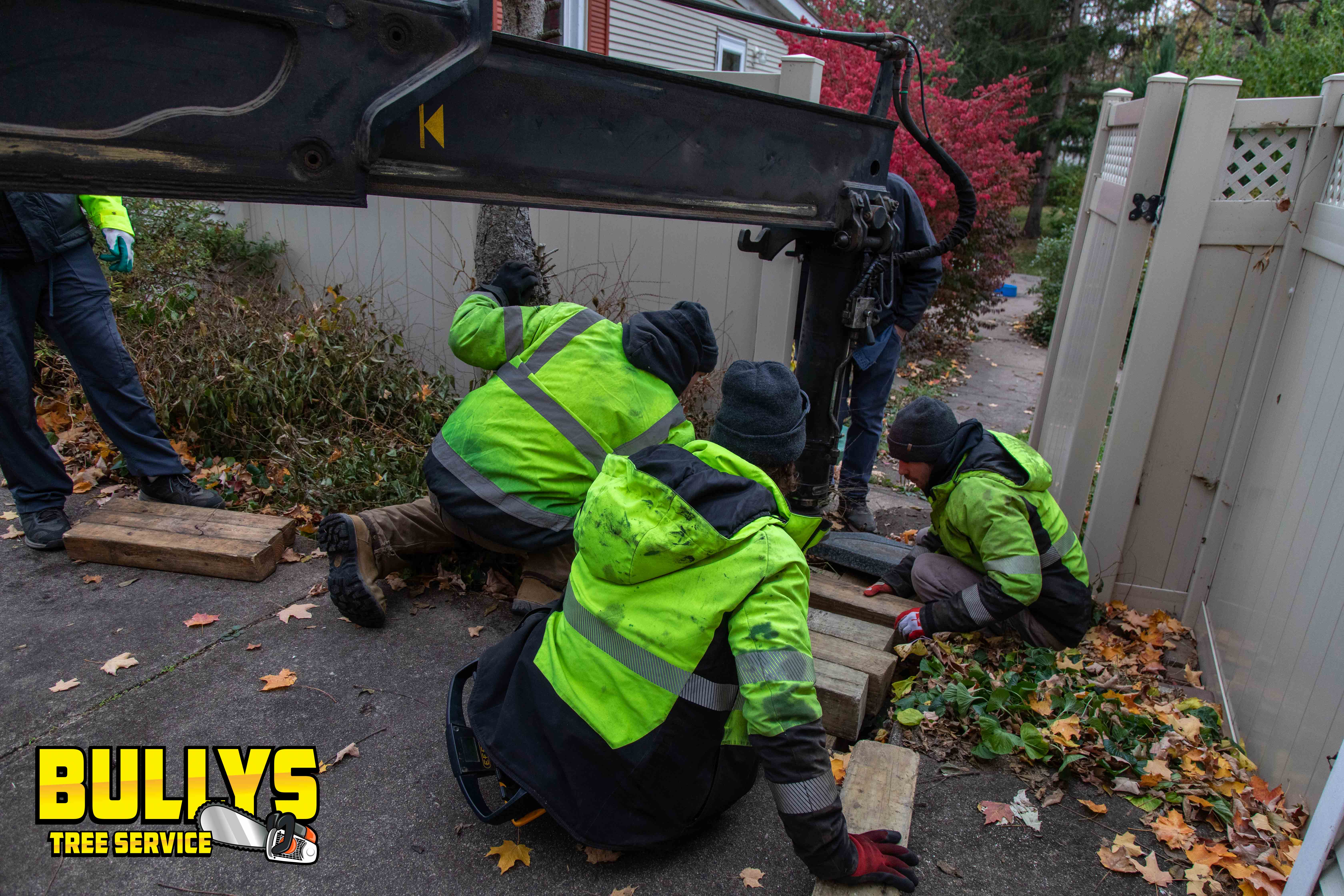 Bullys Tree Service - East Peoria, IL