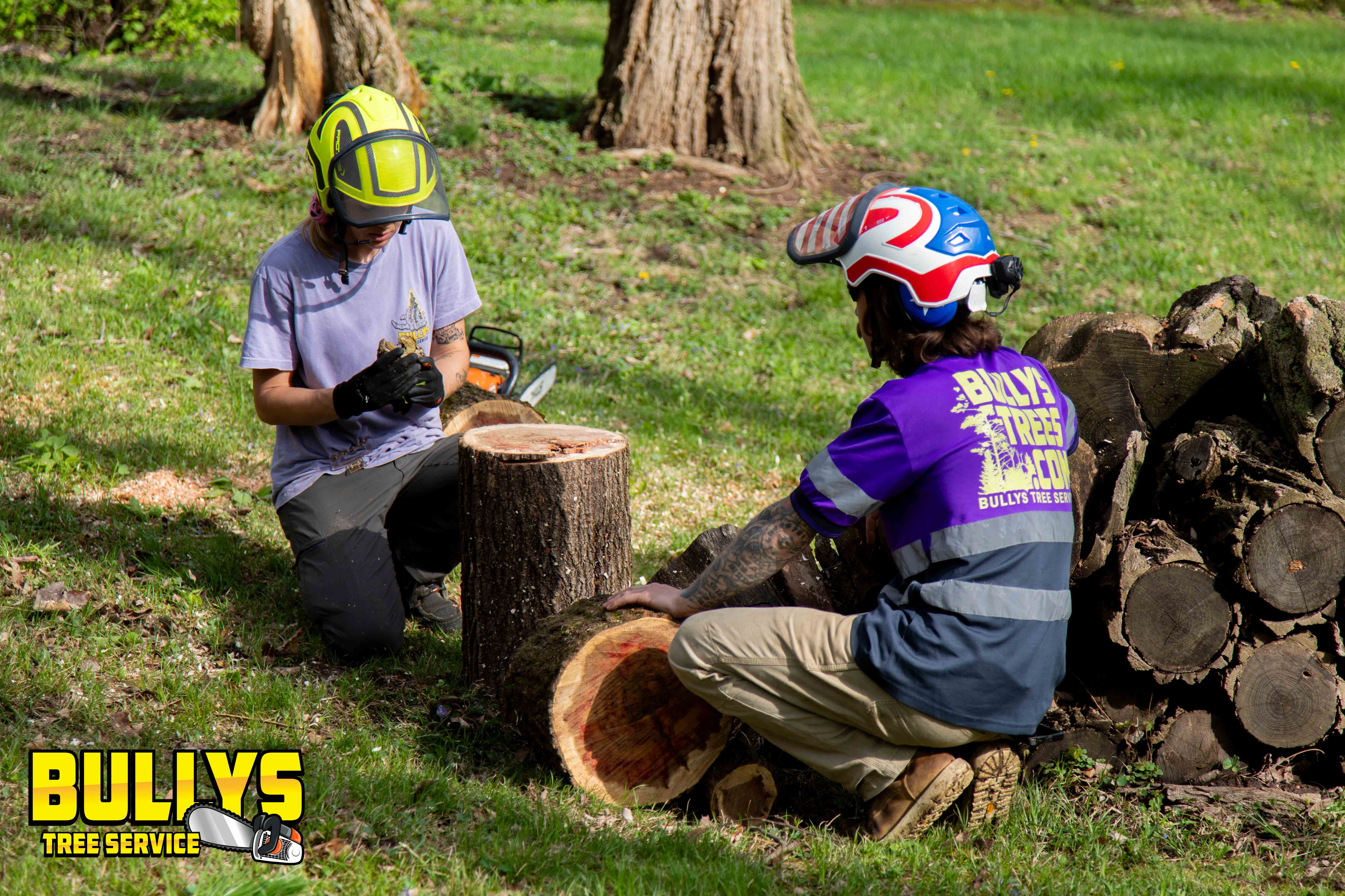 Bullys Tree Service - East Peoria, IL