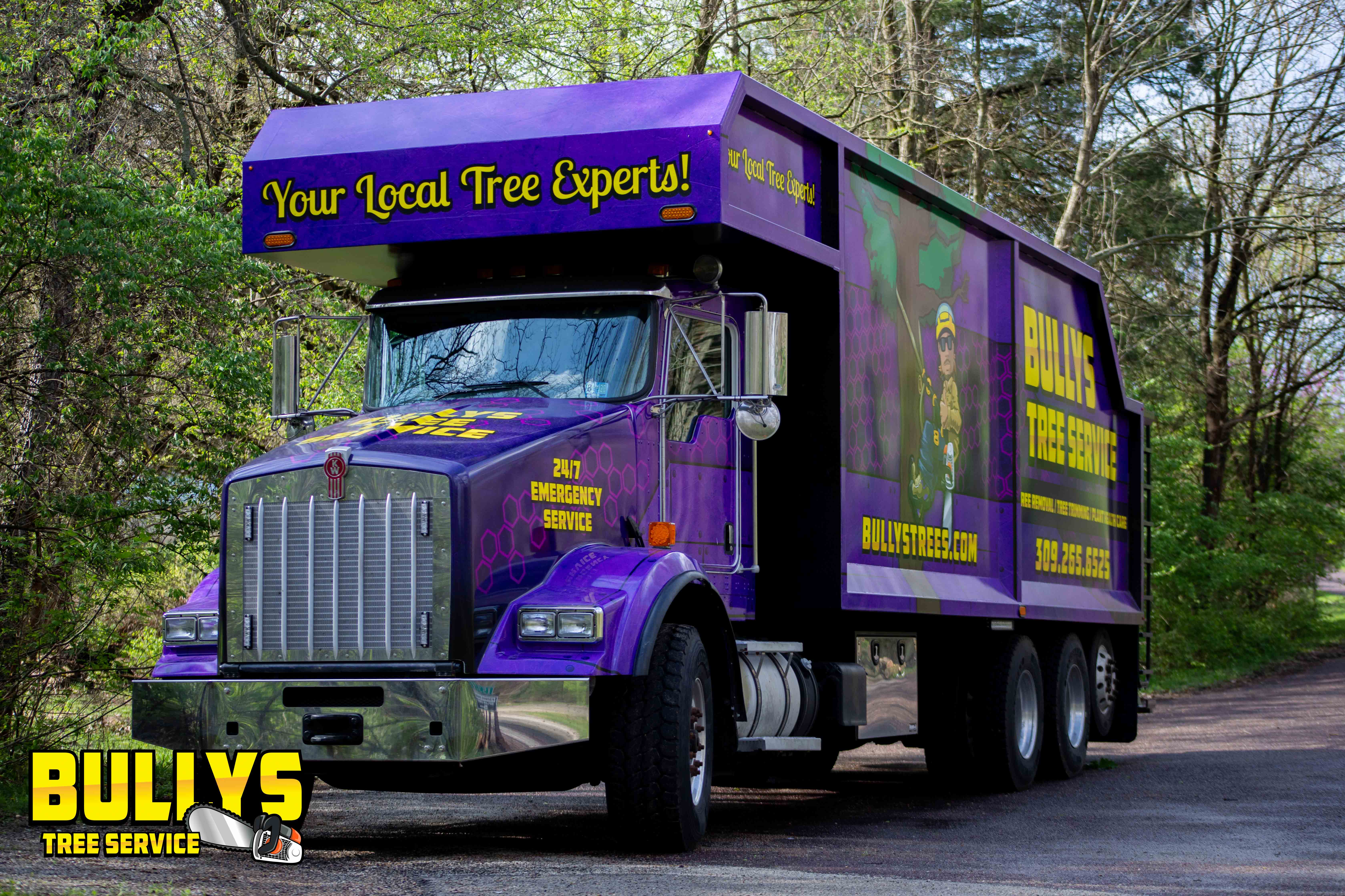 Bullys Tree Service - East Peoria, IL