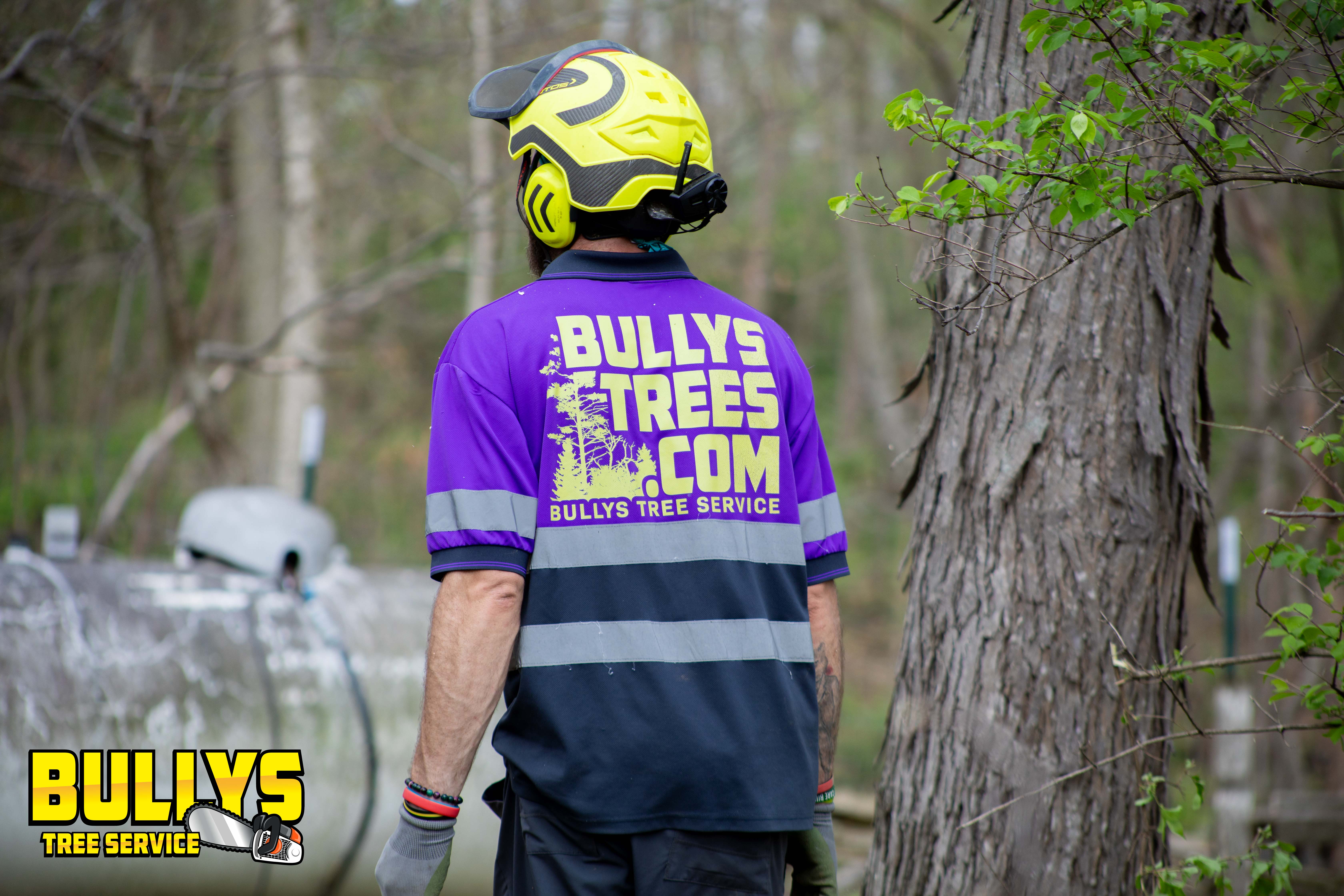 Bullys Tree Service - East Peoria, IL