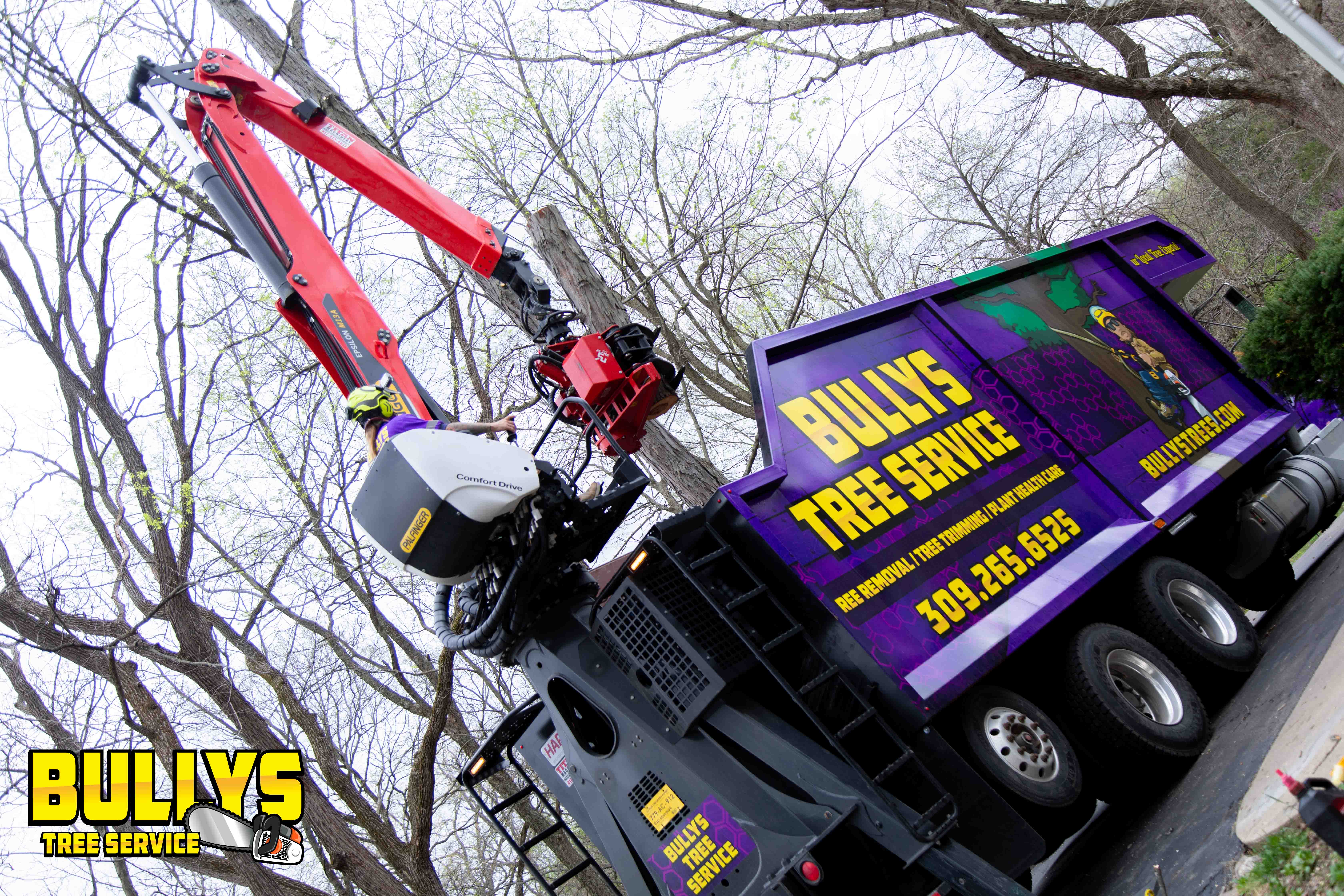 Bullys Tree Service - East Peoria, IL