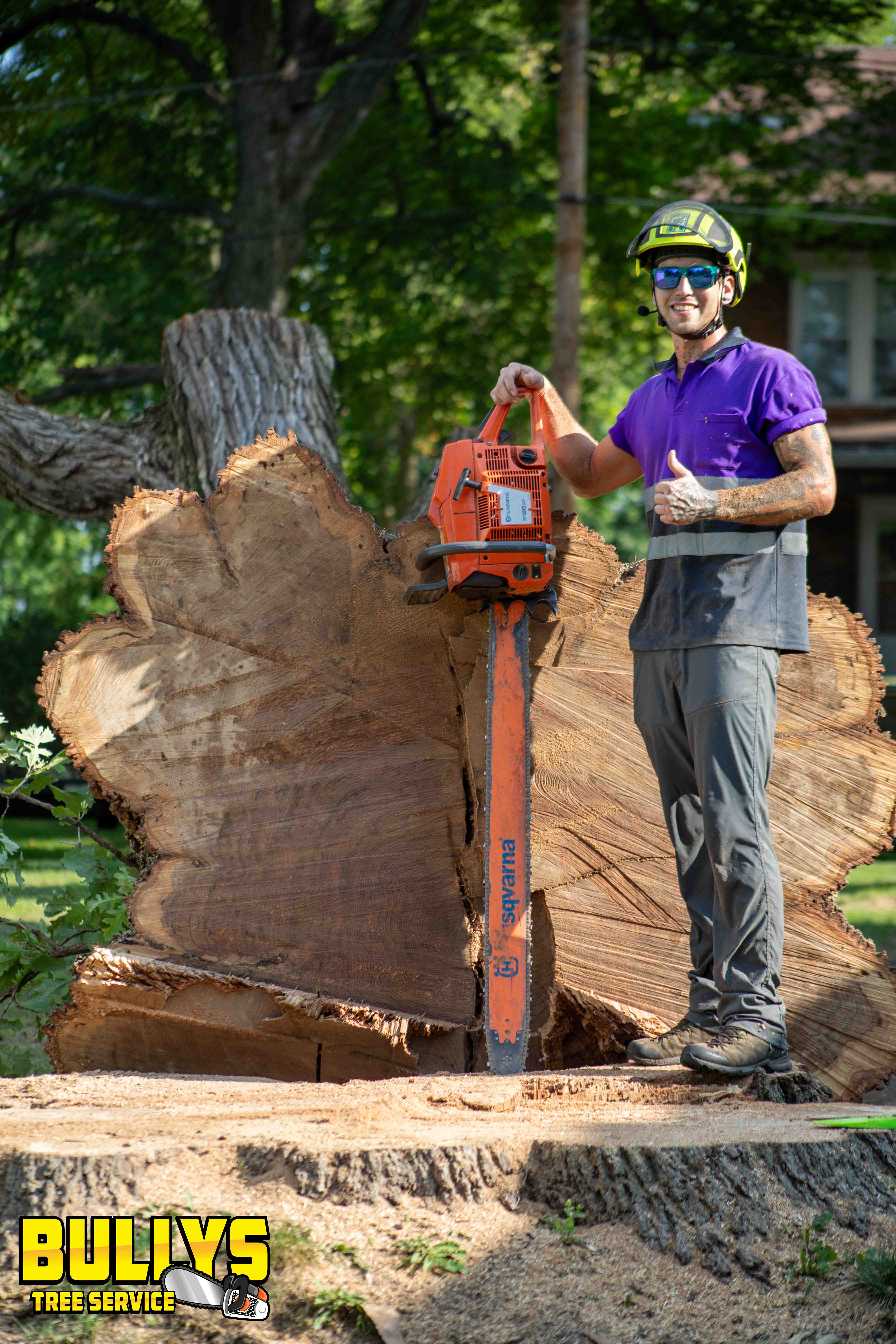 Bullys Tree Service - East Peoria, IL