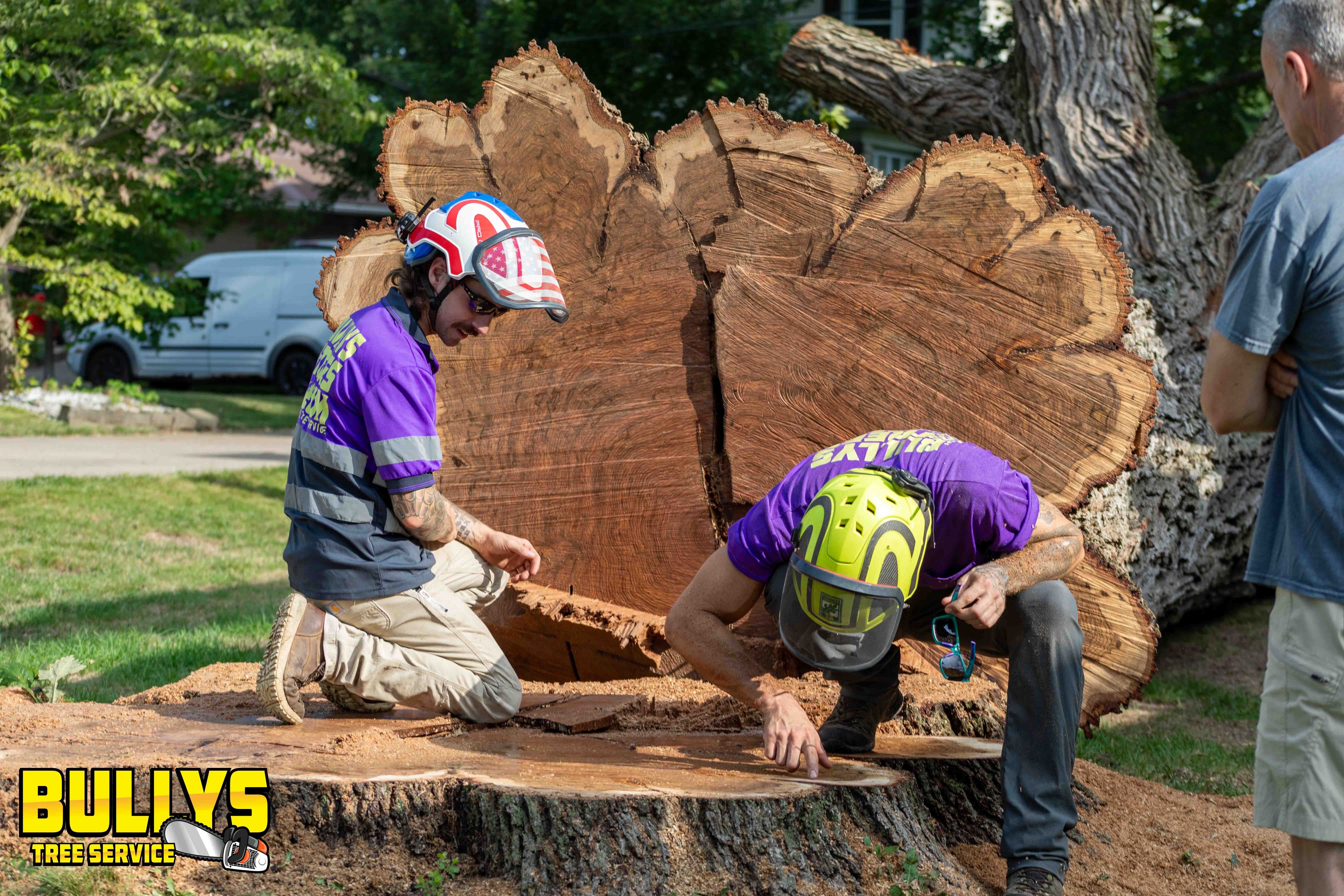 Bullys Tree Service - East Peoria, IL