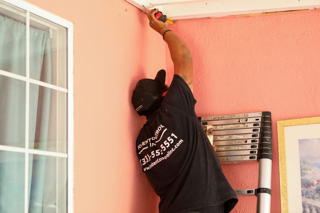 Rodent Control Inc. - Long Beach, CA