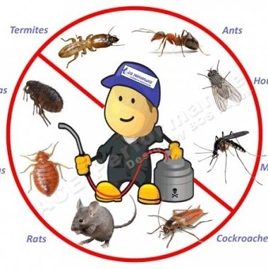 Absolute Finest Pest Control Services, Inc. Logo