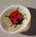 Absolute Finest Pest Control Services, Inc. Image