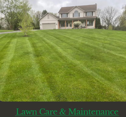 Mightys Landscape Services Image