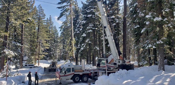 Jeremiah's Tree Service Image