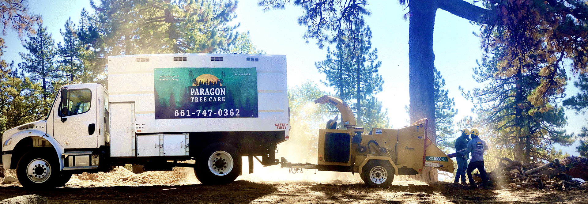 Paragon Tree Care - Bakersfield, CA