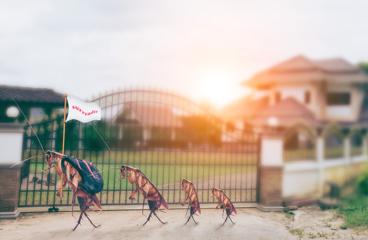 Eco Pest Control - Meridian, ID