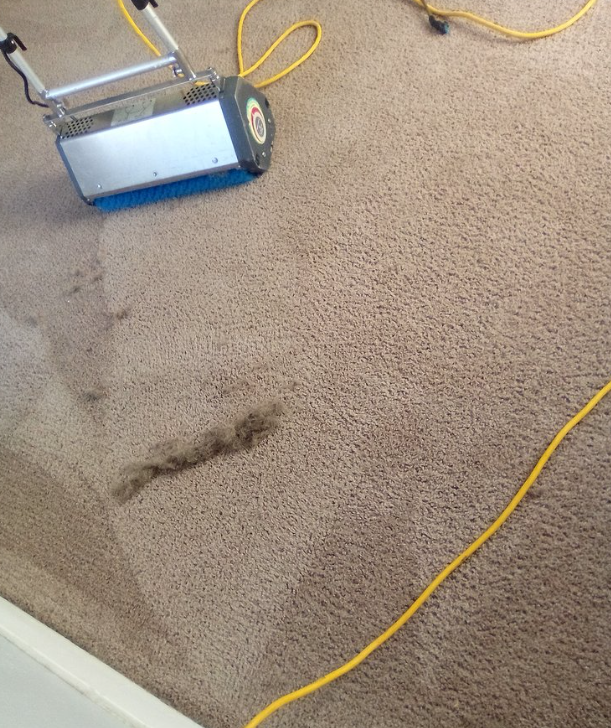 Placer Carpet Cleaning Image